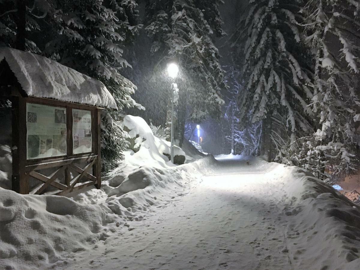 Apartman Crocus 313 Štrbské Pleso Zewnętrze zdjęcie