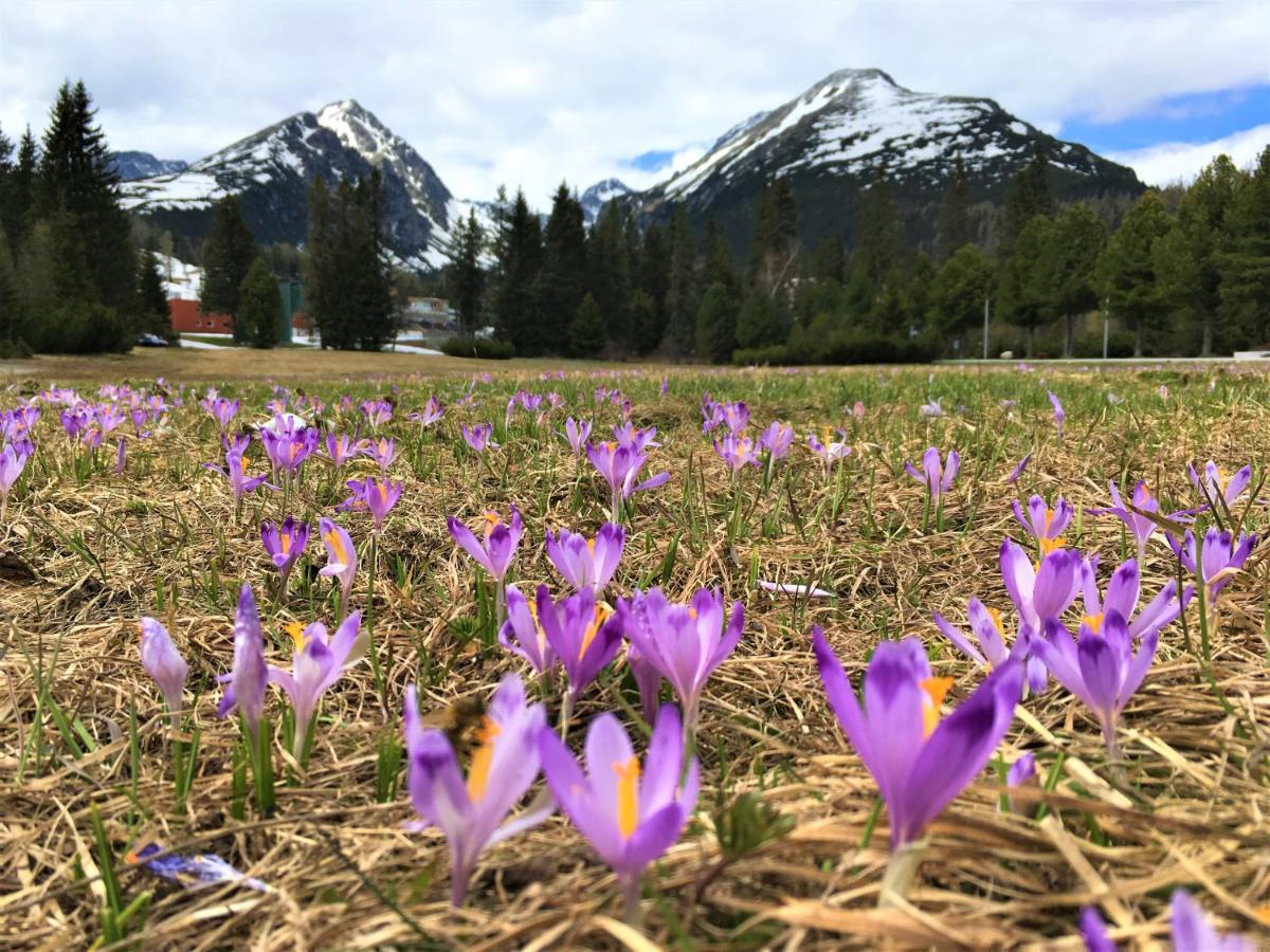Apartman Crocus 313 Štrbské Pleso Zewnętrze zdjęcie